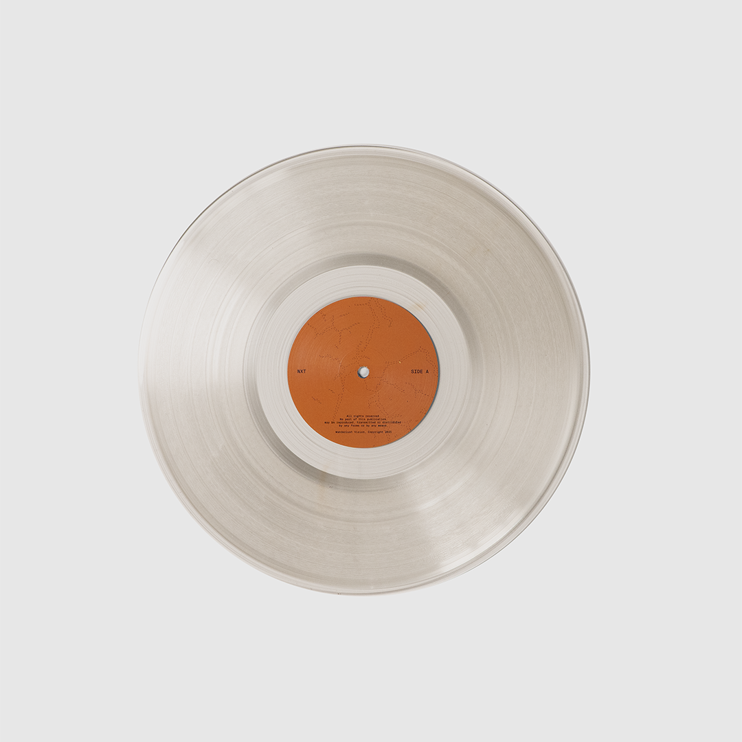 Salewa NXT Vinyl